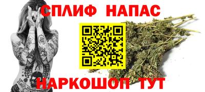 стаф Малгобек