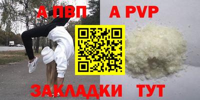стаф Малгобек