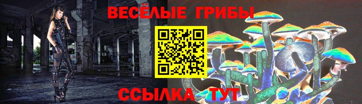 Галлюциногенные грибы GOLDEN TEACHER  Вход с VPN  Выборг 